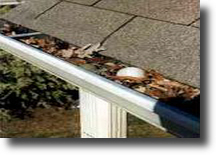 The Gutter Guys clean clogged gutters to protect your home from water damage. 1-800-GUTTER-1